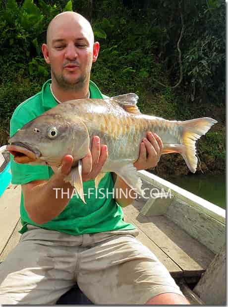 Flod og Sø Fisketur - Big Mahseer Fishing Report Thailand