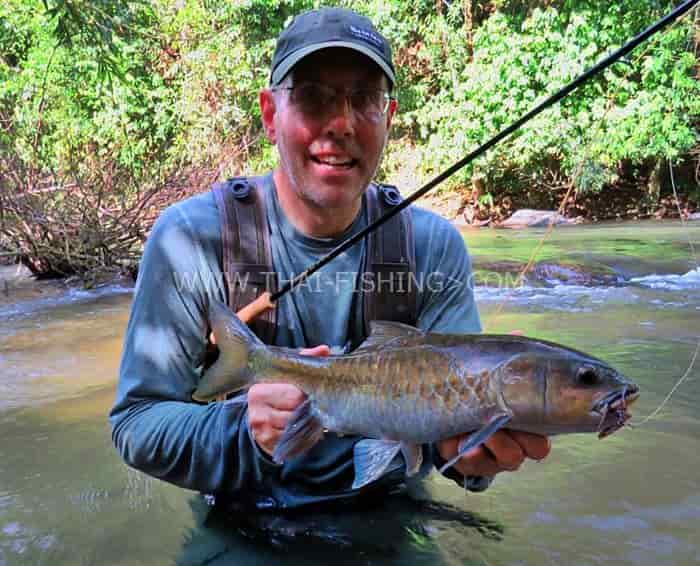 Mahseer Flue-fiske Thailand Report December