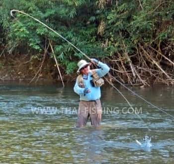 Mahseer On Thai dry Flies