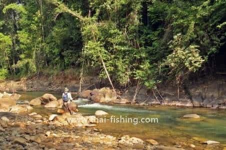 Thai Fishing Photo Gallery