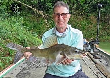 Fish Species Asian River Catfish