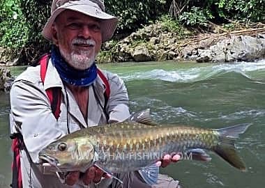 Fish Species Blue Mahseer