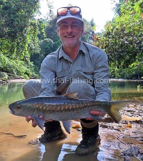Store og Smukke Thai fisk - Blue Mahseer Fluefiskeri - Fiske Report 9