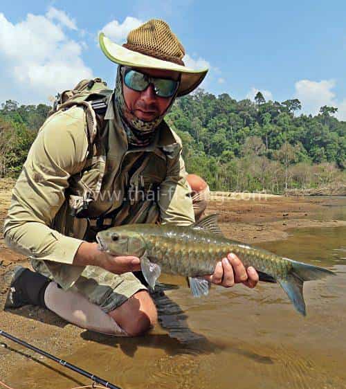Blue Mahseer Fly Fishing in Thailand - Freshwater Fishing Report 9