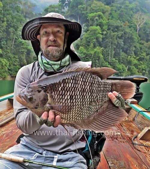 Giant Gourami Fluefiskeri i søen Thailand - Fiske Report 9