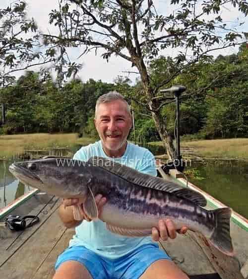 Giant Snakehead Fiskeri Thailand - Fiske Report 9