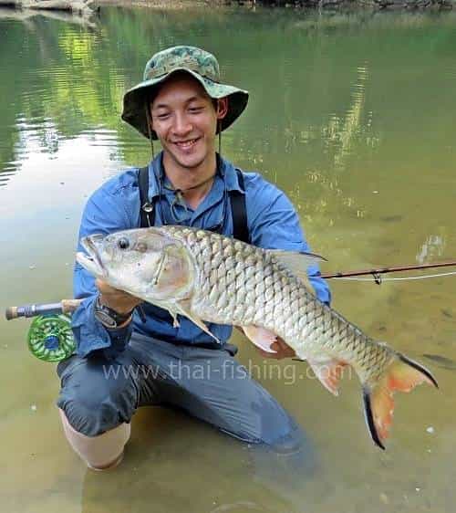Hampala Barb Fly Fishing in Thailand - Fishing Report 9