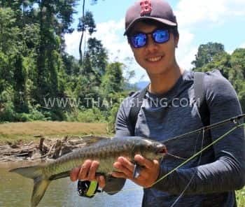 Mahseer fly fishing Thailand
