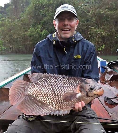 Store Og Smukke Thai Fisk - Giant Gourami Fluefiskeri Thailand - Fiske Report 9