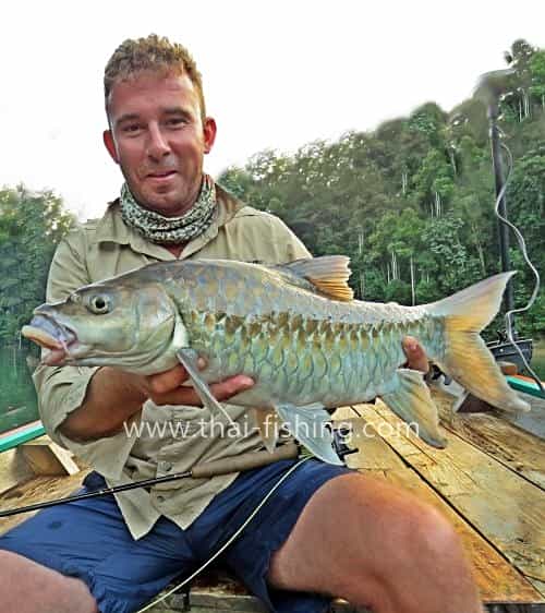 Store Og Smukke Thai Fisk - Fluefiskeri Thailand Mahseer - Fiske Report 9