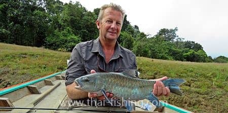 Beautiful blue Mahseer on fly from the jungle lake - guest comments 1