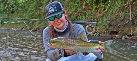 Beautiful blue Mahseer on fly from the jungle rivers - guest comments 3