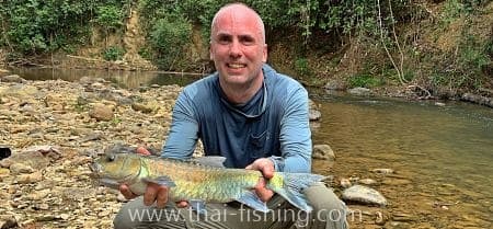 Big Blue Mahseer dry fly fishing - guest comments 6