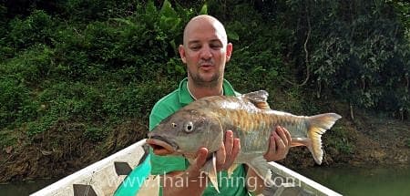 Big Thai Mahseer With Thai Fishing-guest comments 25