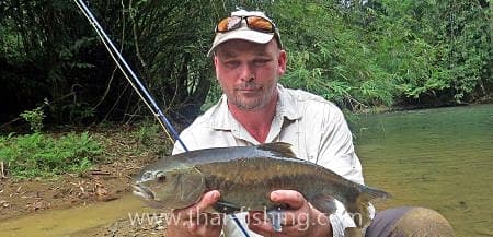 Jungle Fly Fishing and Lure Fishing With Thai Fishing-guest comments 11