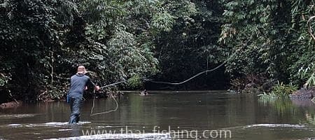 Jungle Fly Fishing and Lure Fishing With Thai Fishing-guest comments 22