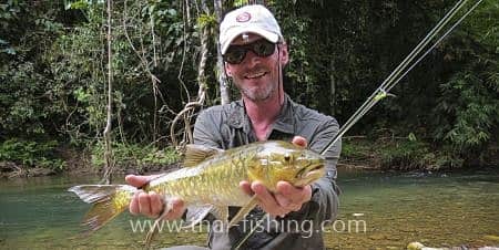 Jungle Fly Fishing and Lure Fishing With Thai Fishing-guest comments 27