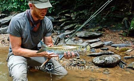 Jungle Fly Fishing for Blue Mahseer with Thai Fishing-guest comments 15