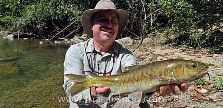 Jungle Fly Fishing for Blue Mahseer with Thai Fishing-guest comments 19