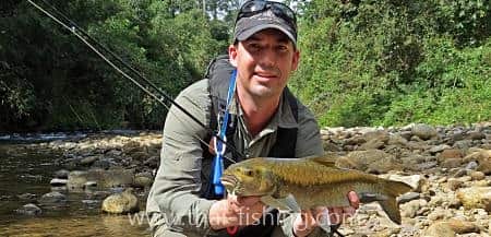 Jungle Fly Fishing for Mahseer with Thai Fishing-guest comments 30