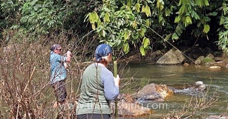 Jungle Fly fishing Thailand Mahseer guest comments 16