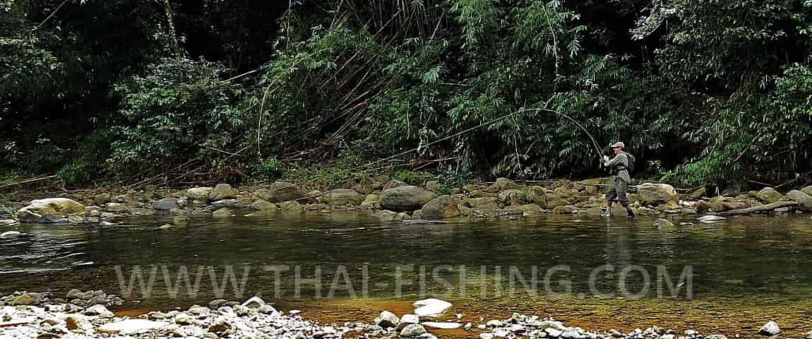 A Thrilling Fly Fishing Adventure Thailand