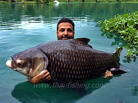 Carp Fishing Krabi Thailand
