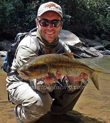 jungle-flodfiskeri Thailand