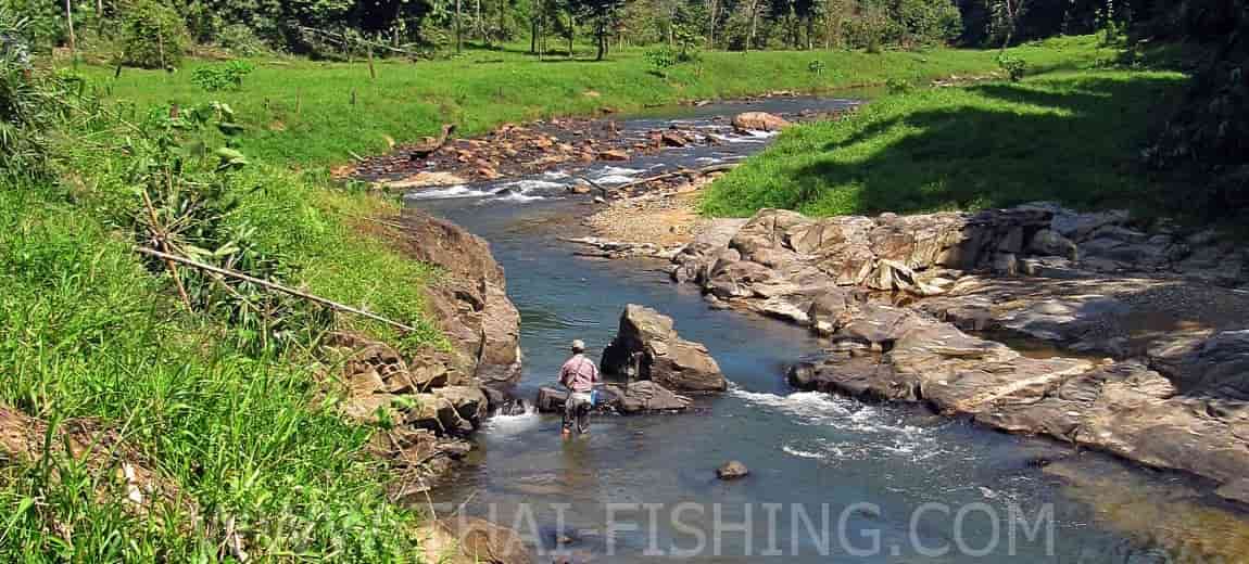 Flodfiskeri Thailand - Jungle flue og Spin-fiskeri