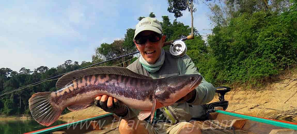 Fluefiskeri Thailand - Jungle Fluefiskearter - Thai Fishing