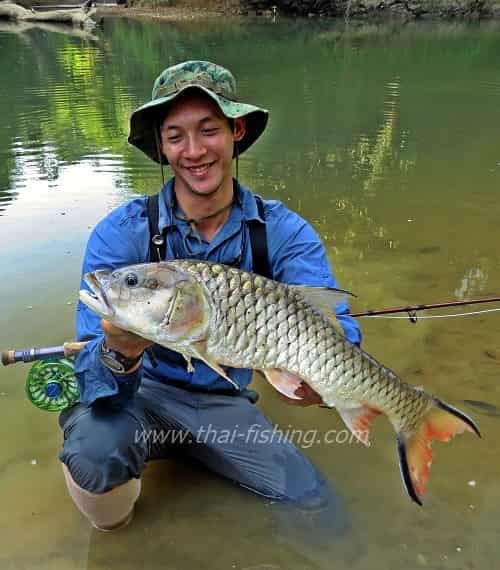 Jungle Flod Fiskeri Thailand
