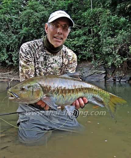 Mahseer Fluefiskeri - Thai Fishing