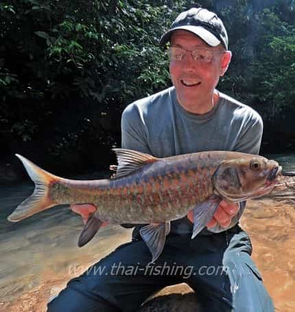 River Fishing South Thailand - Blue Mahseer Fly Fishing