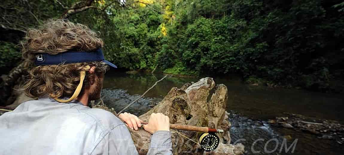 Sight Fiskeri Mahseer - Thai Fishing