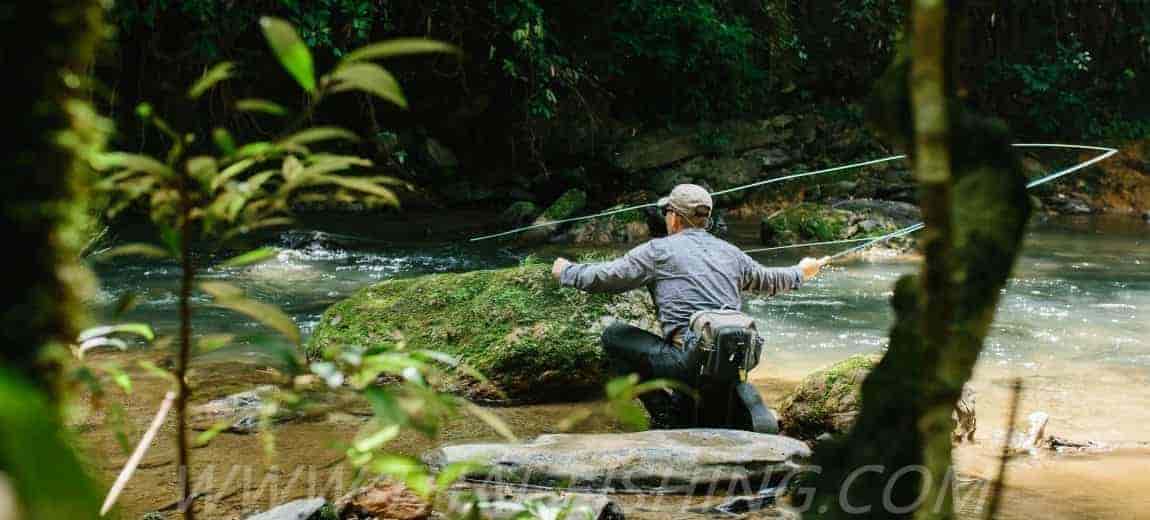 About us - Thai Fishing - Jungle Fishing Thailand