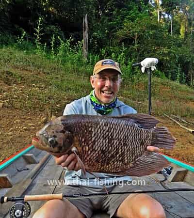 FAQ - Jungle Fly & Lure Fishing Thailand - Giant Gourami on Fly