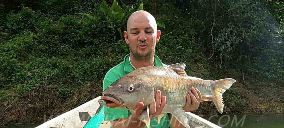 Fish Species in Thailand - Freshwater Species