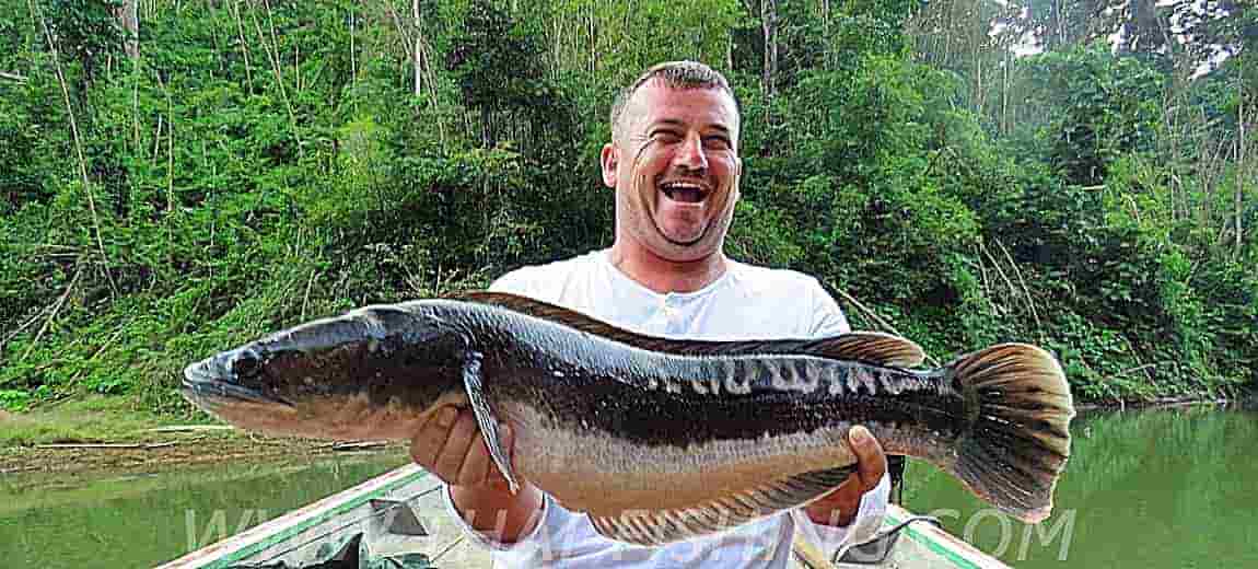 Jungle Fishing Reports Thailand - Fly And Lure Fishing - Thai Fishing