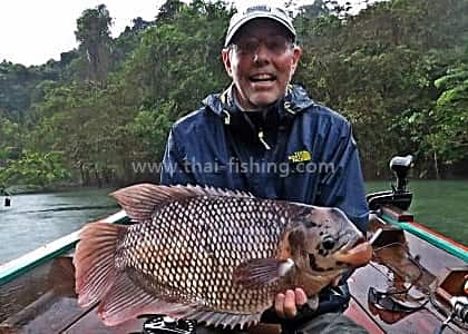 Giant Gourami on fly - Jungle Fly Fishing