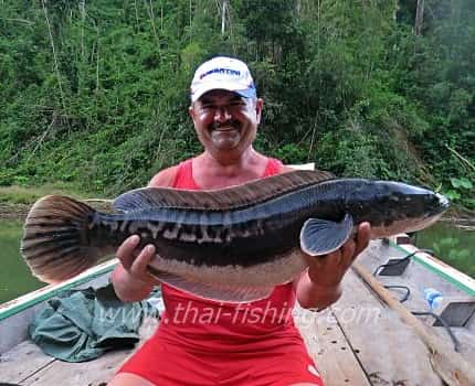 Freshwater Fishing Trips Thailand - Jungle Fly and Lure Fishing - Thai Fishing