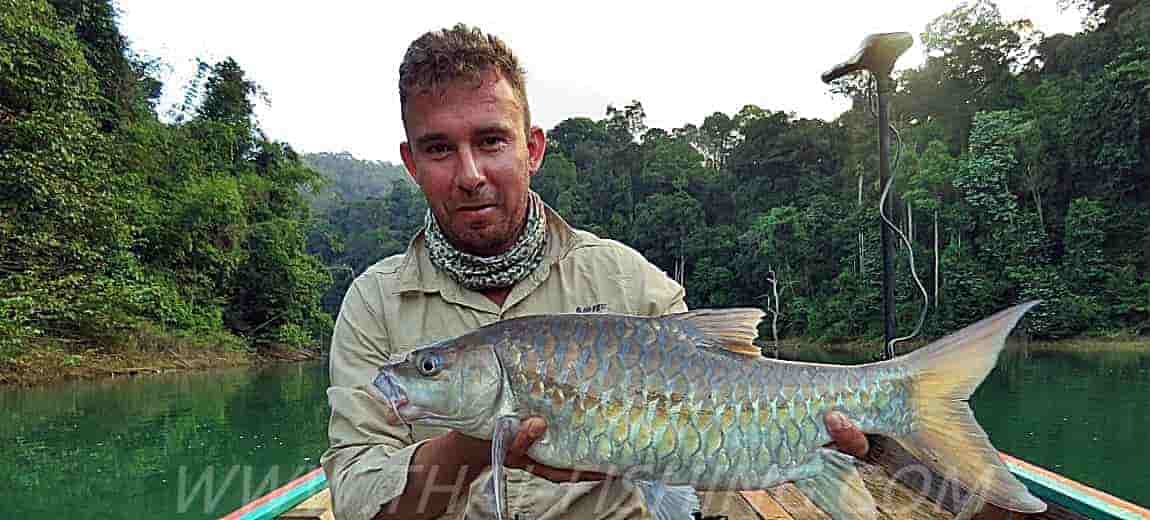 Guest comments - Mahseer Fly Fishing - Thai Fishing