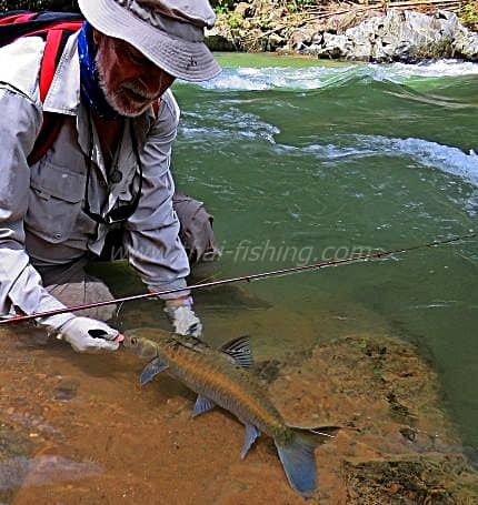 Mahseer Fishing Thailand