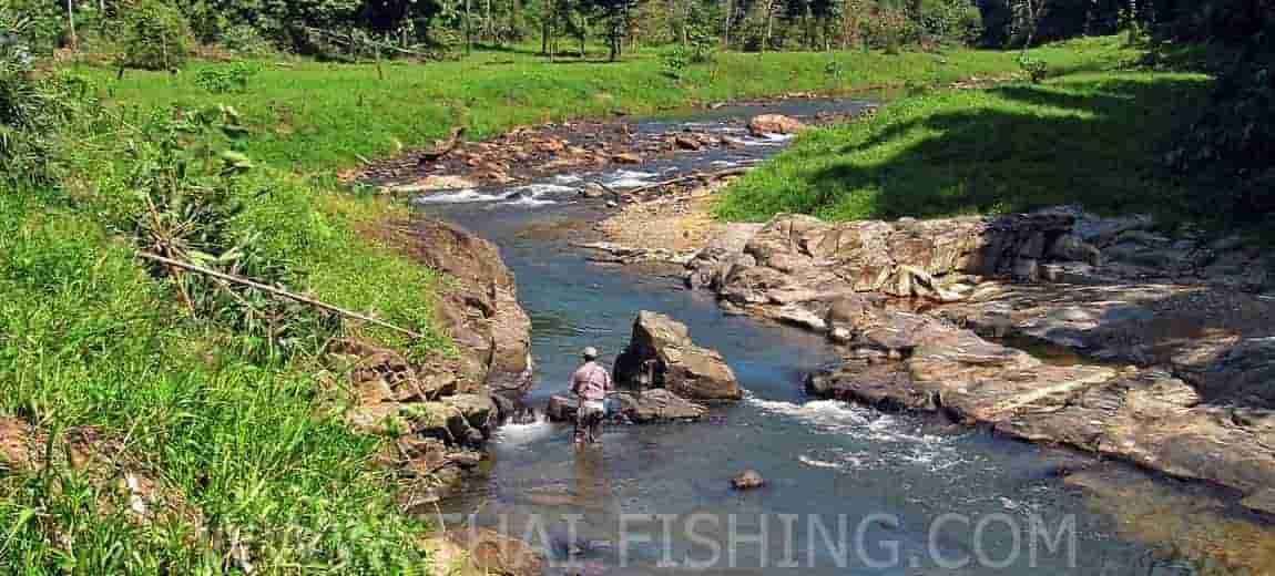 River Fishing South Thailand - Jungle River Fishing