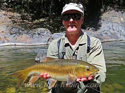 Sight Fly Fishing for Mahseer - Thai Fishing