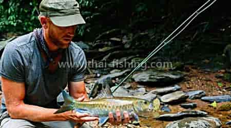 Fly Fishing Collaborative in Thailand - Thai Fishing Report 5