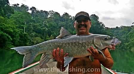 Jungle Lake Fishing Thailand - Thai Fishing Report 8