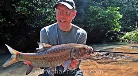 Mahseer Fly Fishing December - Thai Fishing Report 7