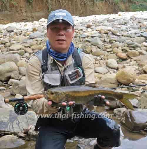 태국‘마시어’를만나다 - 플라이 낚시 태국 - Thai Fishing