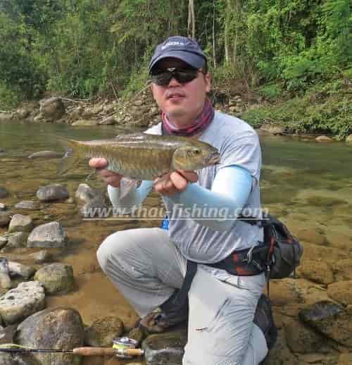 정글 탐험으로 플라이낚시터 개척한 메이크 - Thai Fishing