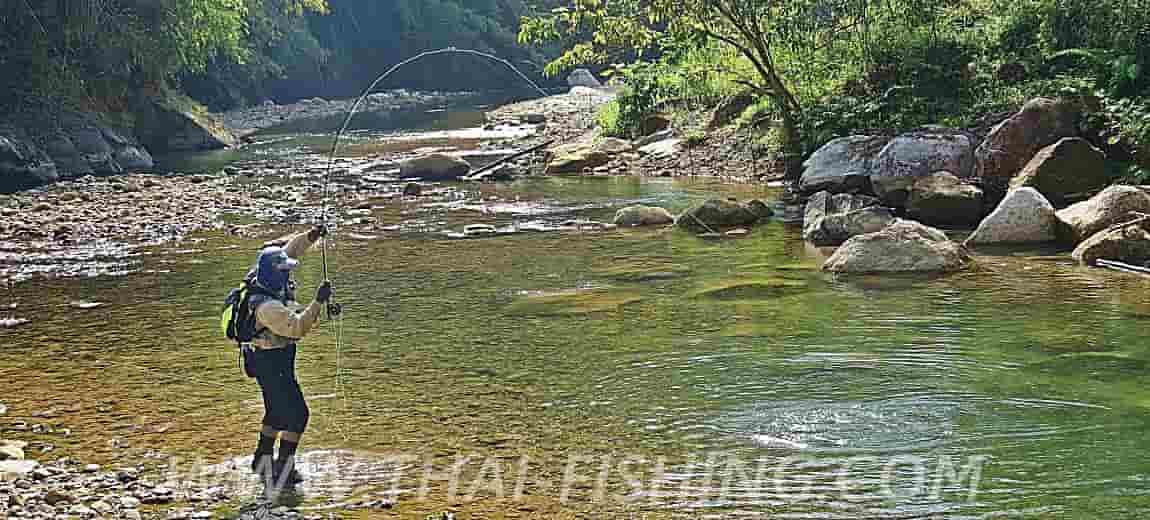 태국‘마시어’를만나다 - 플라이 낚시 태국 - Thai Fishing